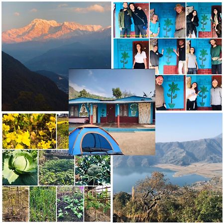 Hom'S Homestay & Farmstay Sarangkot Pokhara Exterior foto