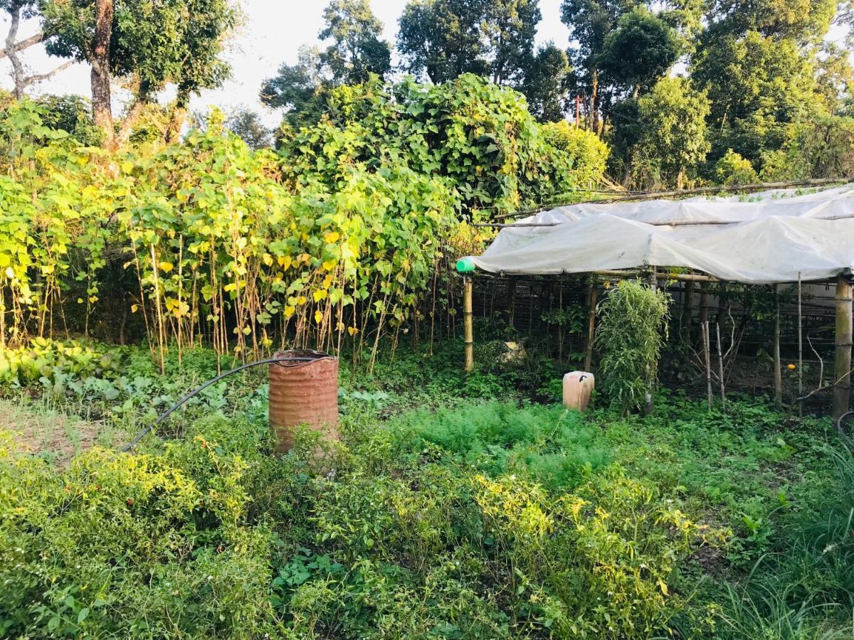 Hom'S Homestay & Farmstay Sarangkot Pokhara Exterior foto